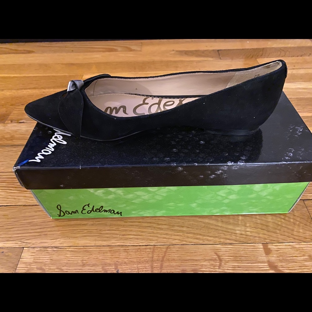 Sam Edelman Raz pointy toe flat